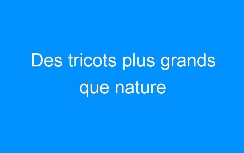You are currently viewing Des tricots plus grands que nature