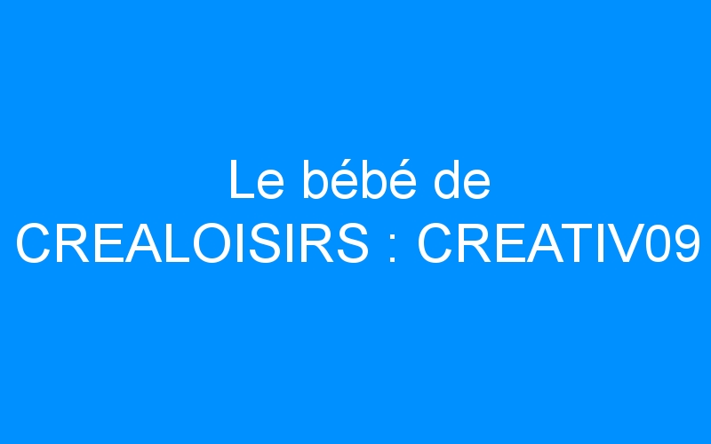 You are currently viewing Le bébé de CREALOISIRS : CREATIV09